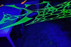 2024-biunsintpoller002